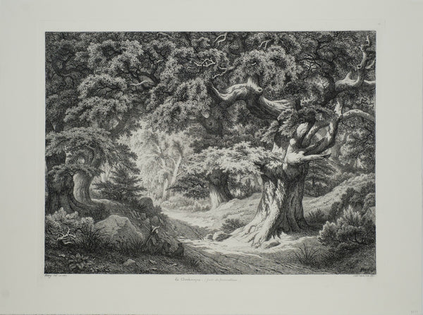 Eugene Blery Le Charlemagne (Foret De Fontainblue) " Etching