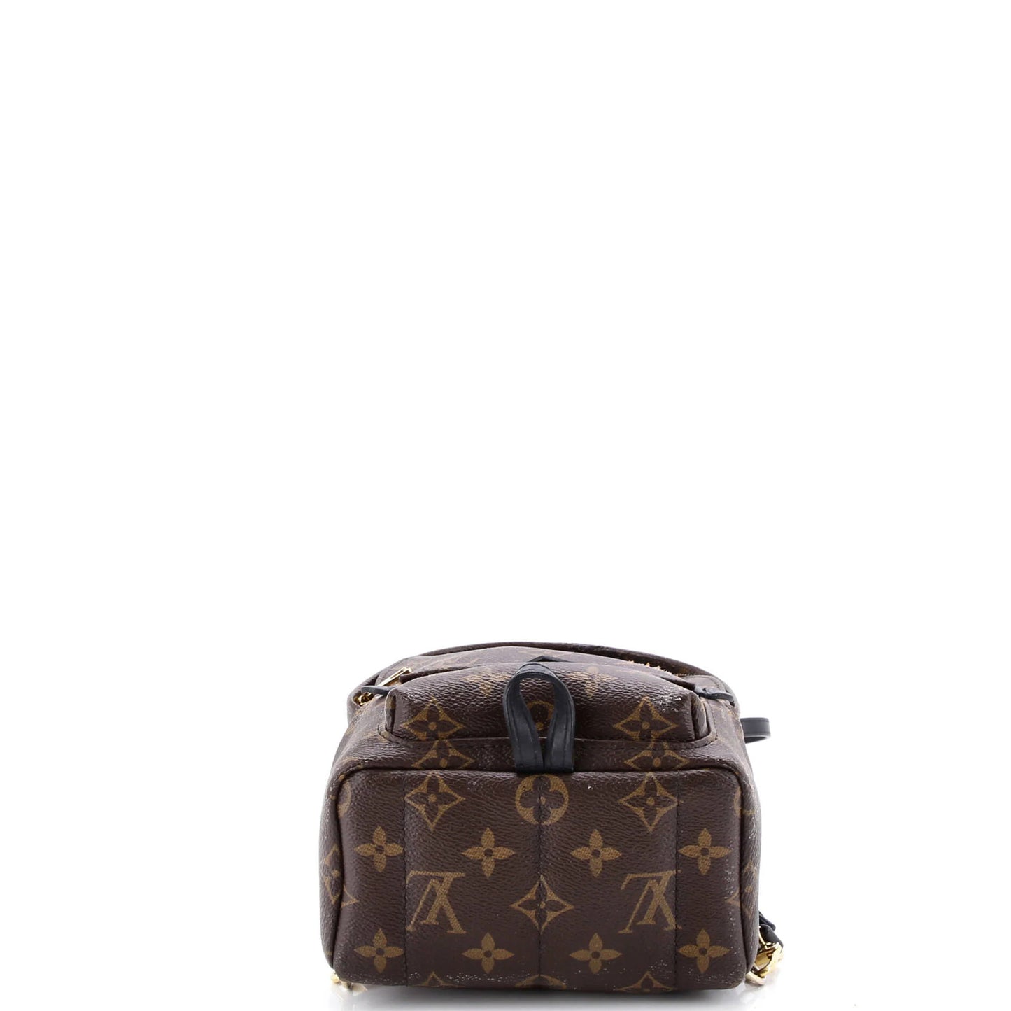 Louis Vuitton Palm Springs Backpack Monogram Canvas Mini