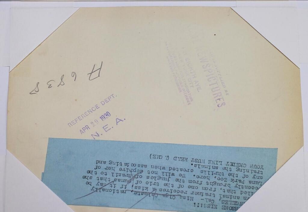 Olga Celeste - Taming The Jungle Original Press Photo Gelatin Silver Print