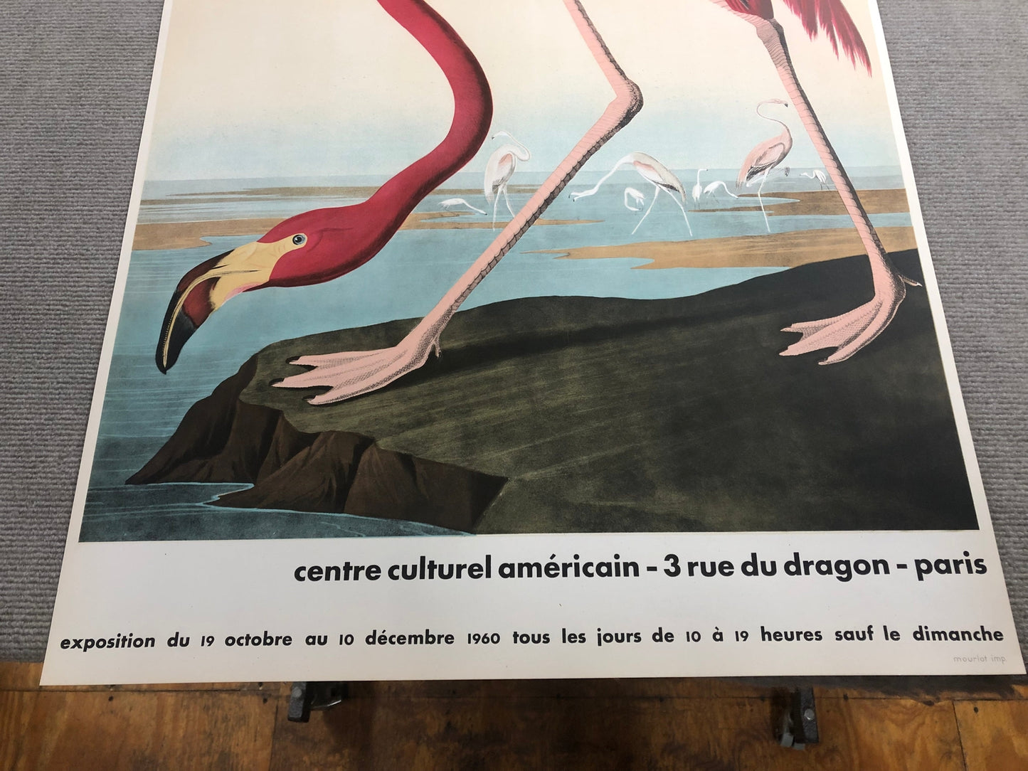 John James Audubon American Flamingo " Lithograph Modernism Par