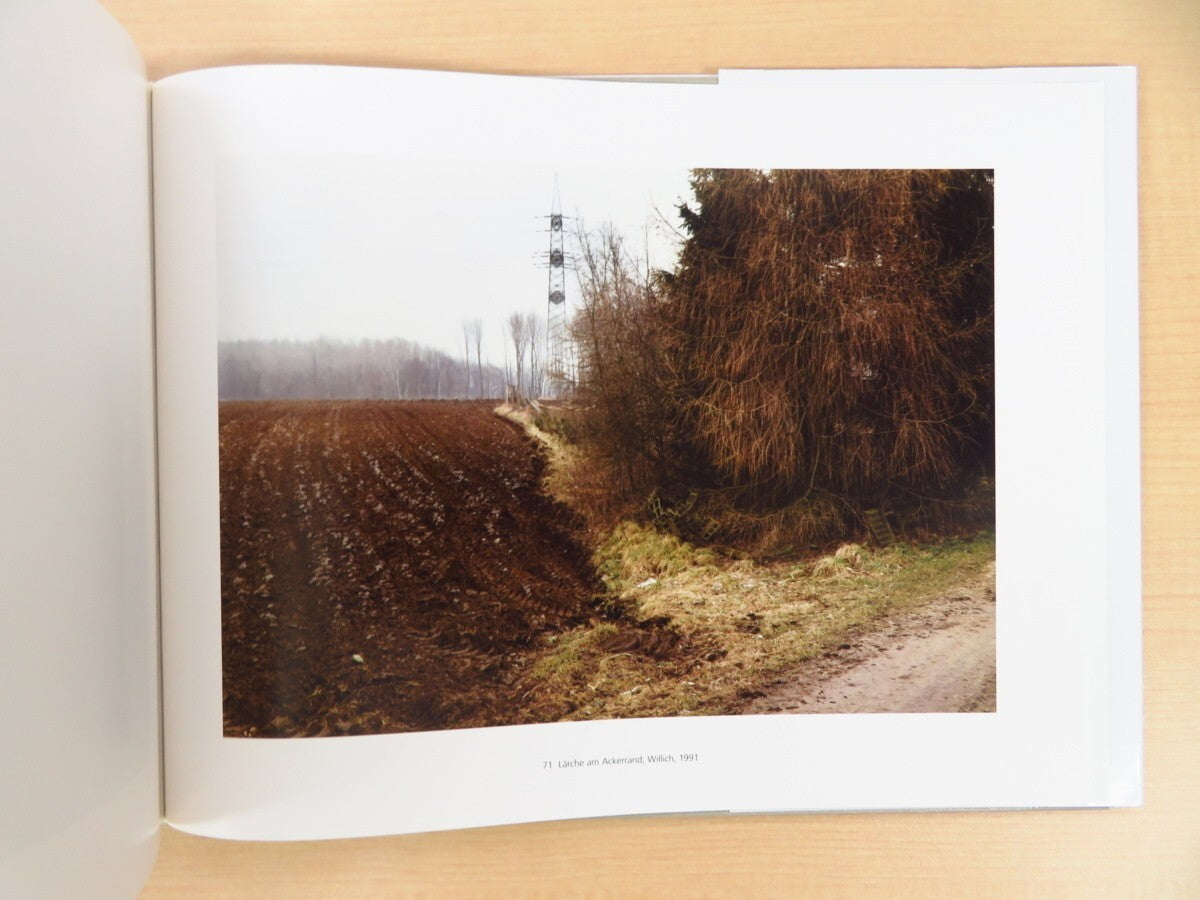 Simone Nieweg - Landshaften Und Gartenstucke