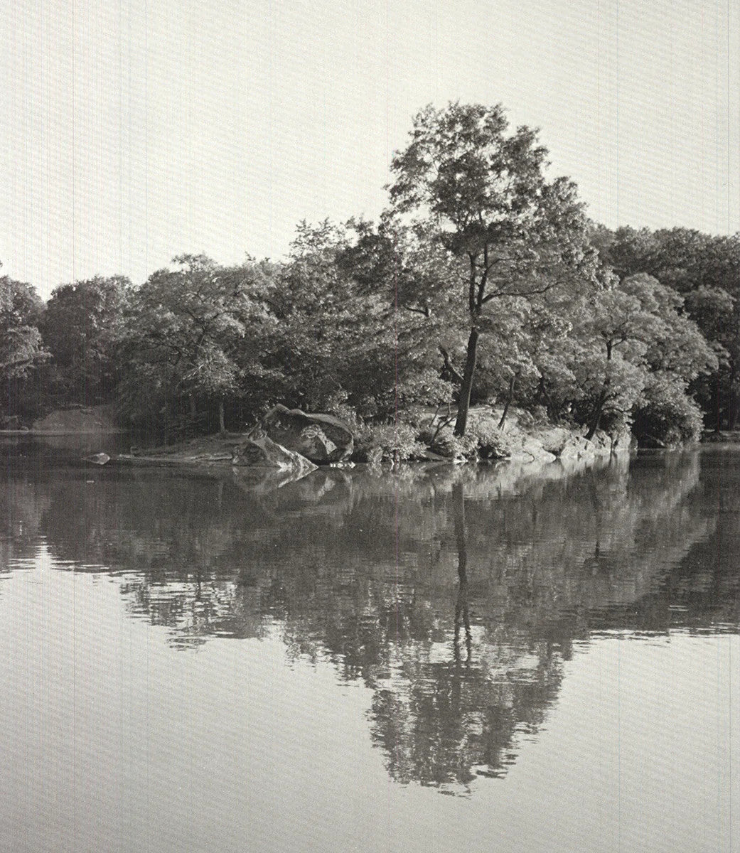 Joel Greenberg Central Park " Offset Lithograph Contemporary New Yo