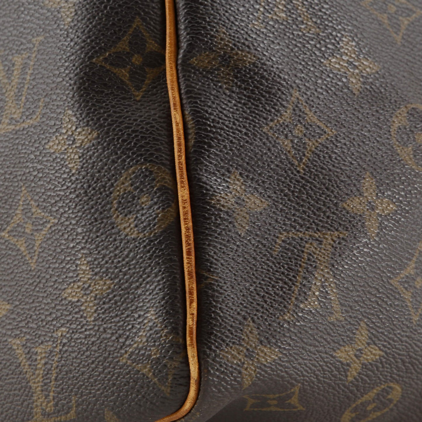 Louis Vuitton Speedy Handbag Monogram Canvas 30