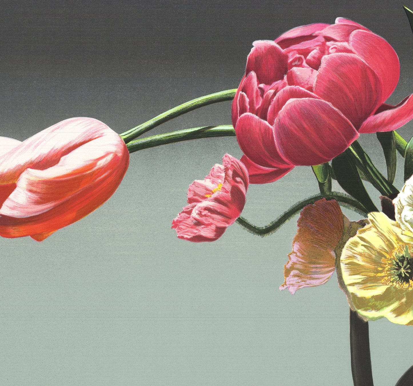 Ben Schonzeit Wedgewood " Serigraph Contemporary Pink Orange Y