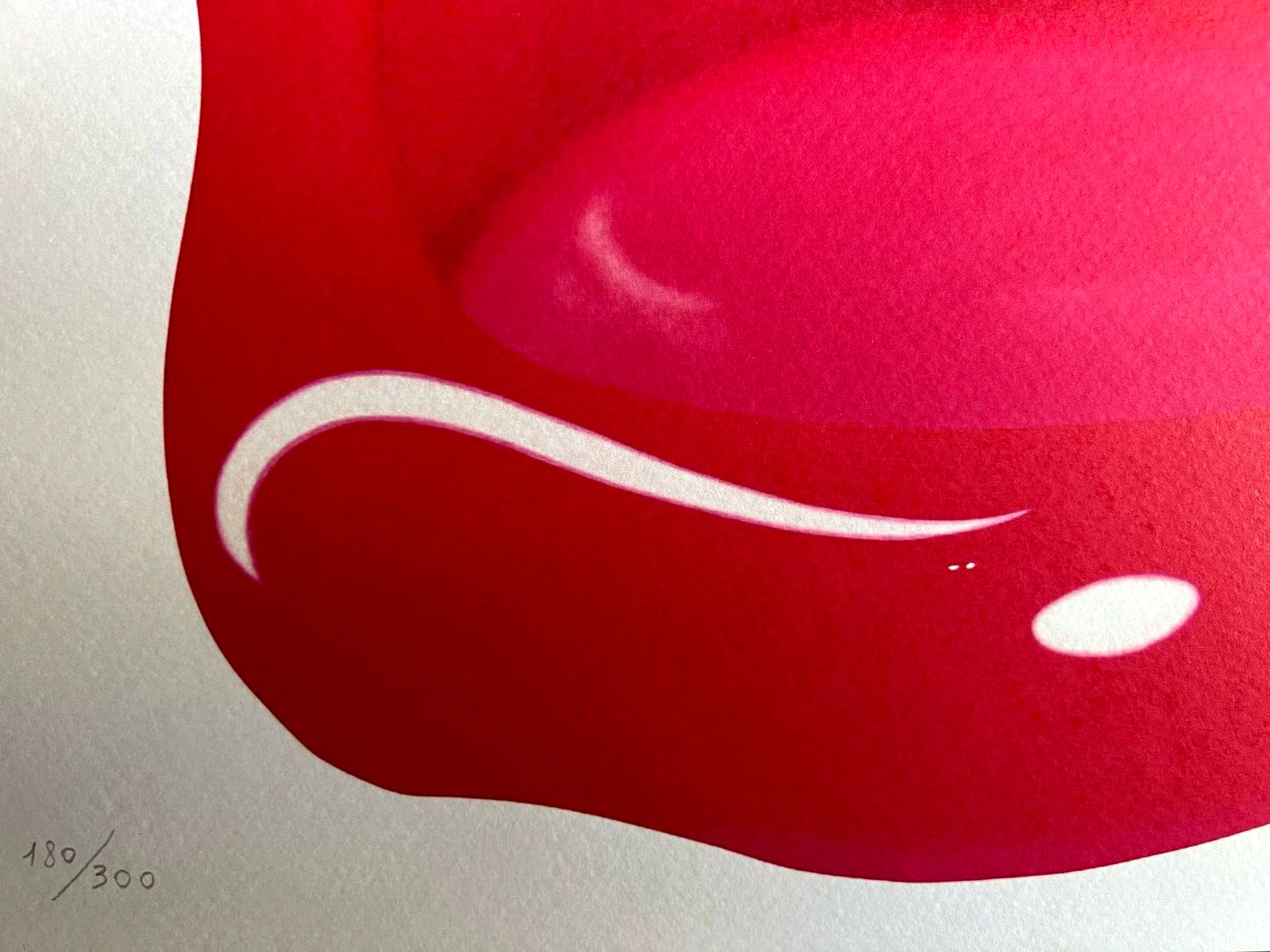 Tom Wesselmann Lithograph Coa Hand Numbered