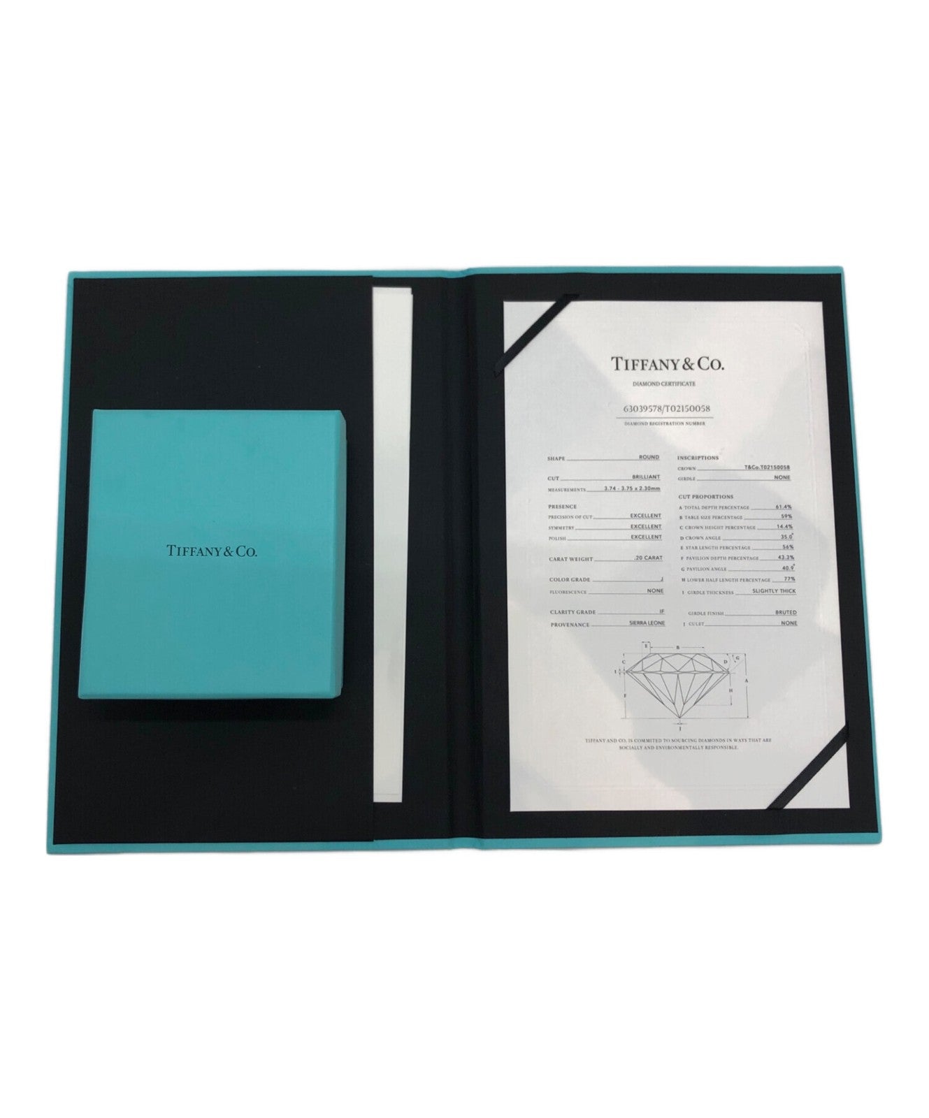 Tiffany & Co. Necklace