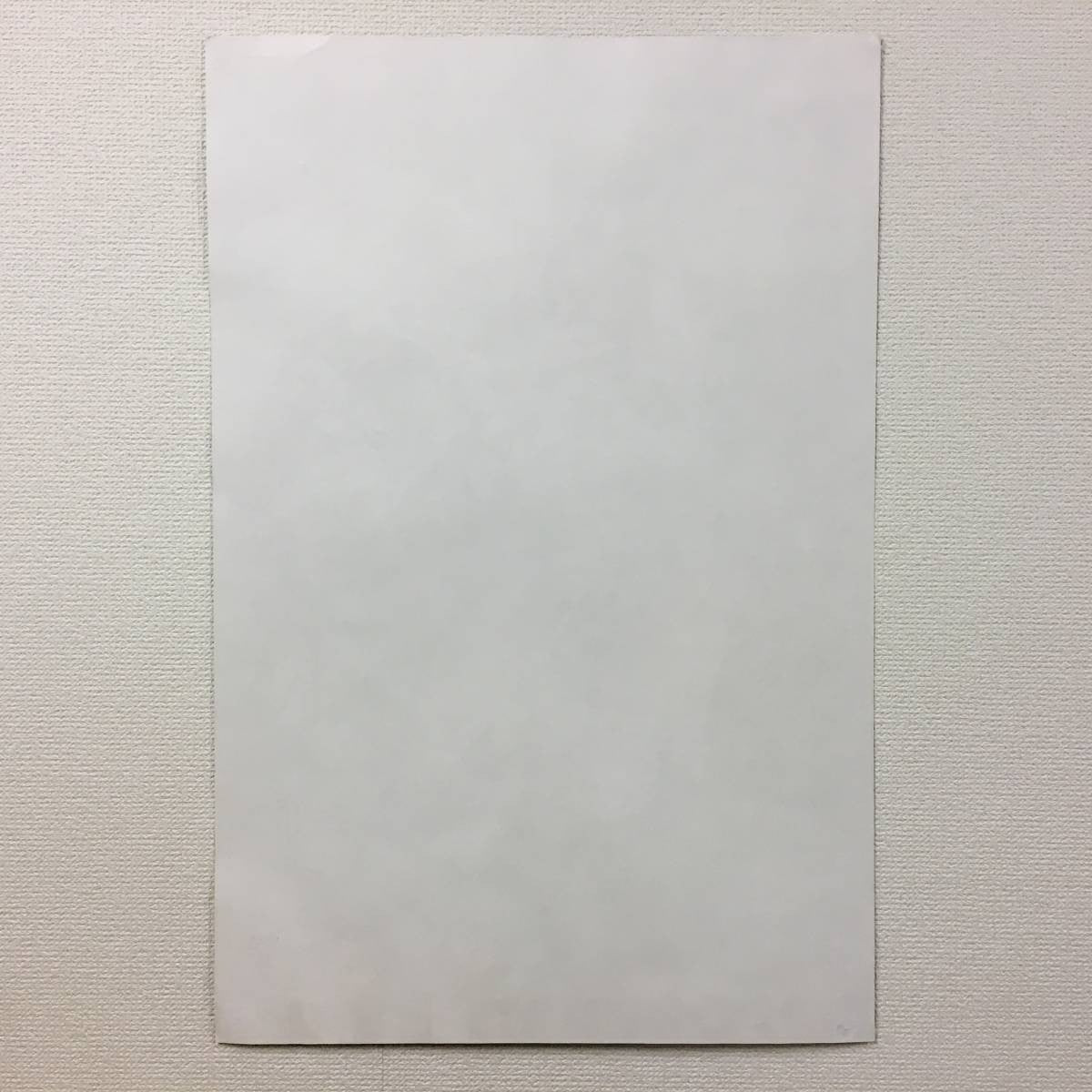 Horst Janssen Signed Poster "Magnolia" Berggruen Paris A2 66X44Cm German Artist