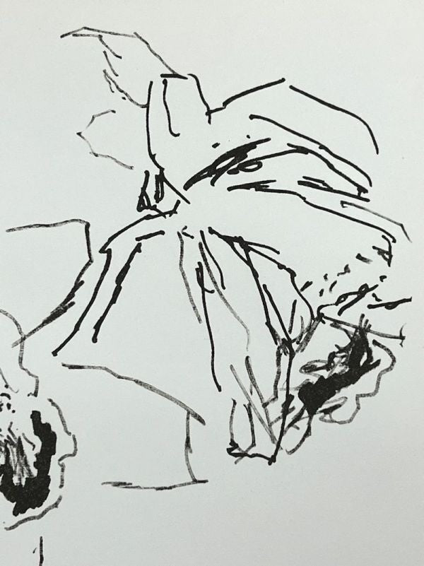 Oskar Kokoschka Original Lithograph "Orchid" 1970S Signed & Numbered 32/50 Frame