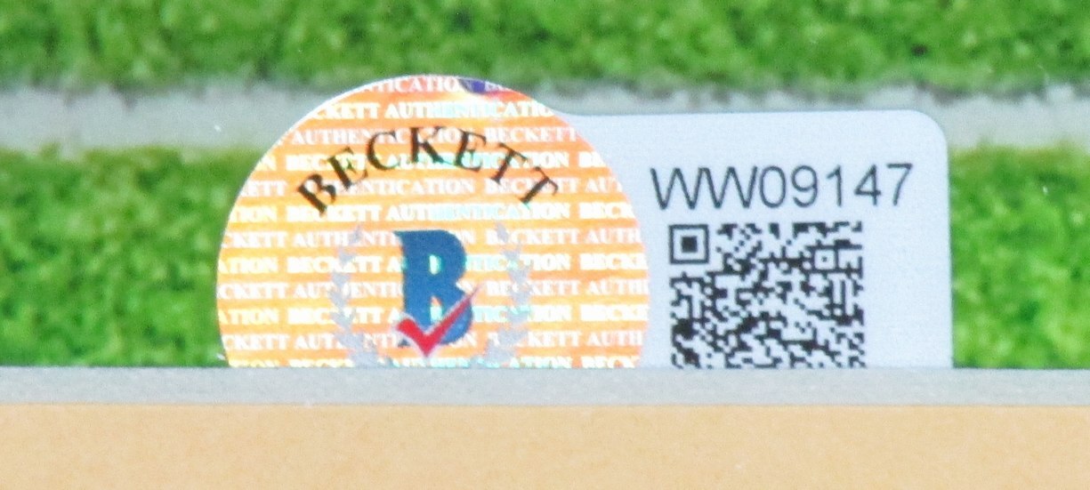 Justin Herbert La Chargers Signed/Autographed 16X20 Photo Framed Beckett 167857