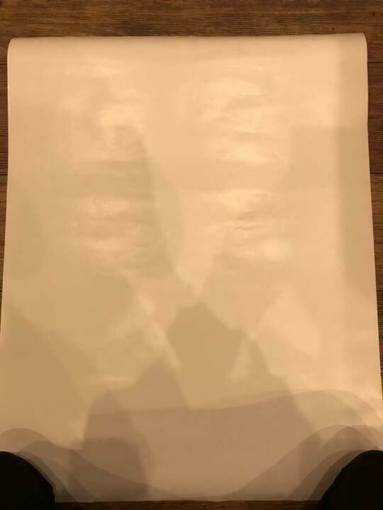 Original Vintage Travel Poster "Hawaii Vacation Usa" By United Airlines