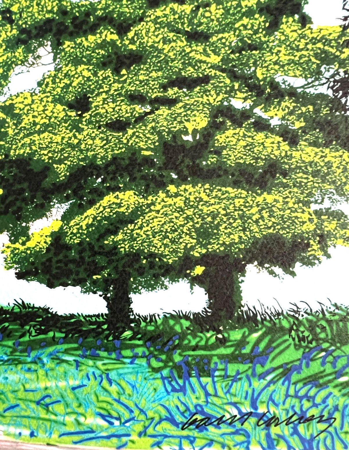 David Hockney Lithograph Coa Signed Op Numbered A Hand Limited