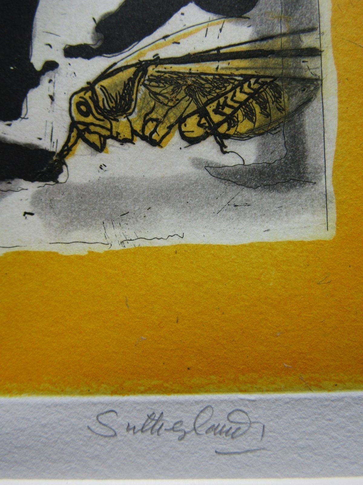 Graham Sutherland The Grasshopper Etching Aquatint 28/45 Signed 1970S British