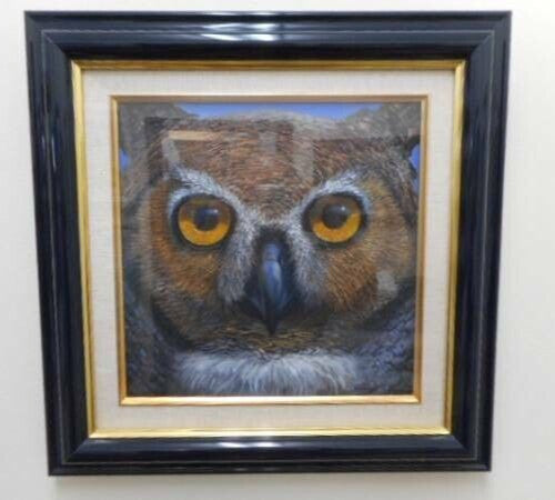 Charles Lynn Bragg - Owl Unique Original Acrylic