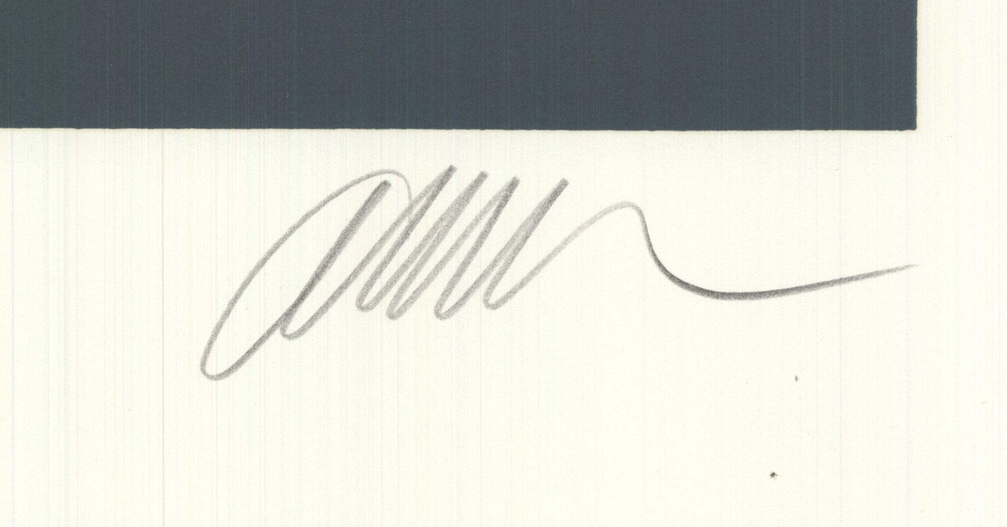 Pierre Fernandez Arman Learning Through Art Signed " Serigraph 500