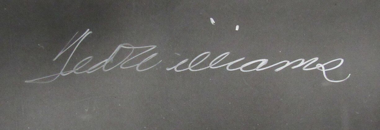 Ted Williams Hof Signed/Auto 16X20 B/W Photo