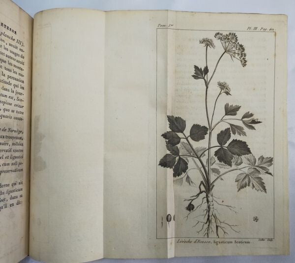 1797 Voyage En Angleterre Ecosse Et Aux Iles Hebrides 1St Edition 2 Vols Rare