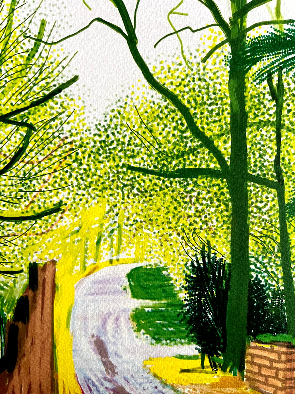 David Hockney Lithograph Coa Signed Op Numbered