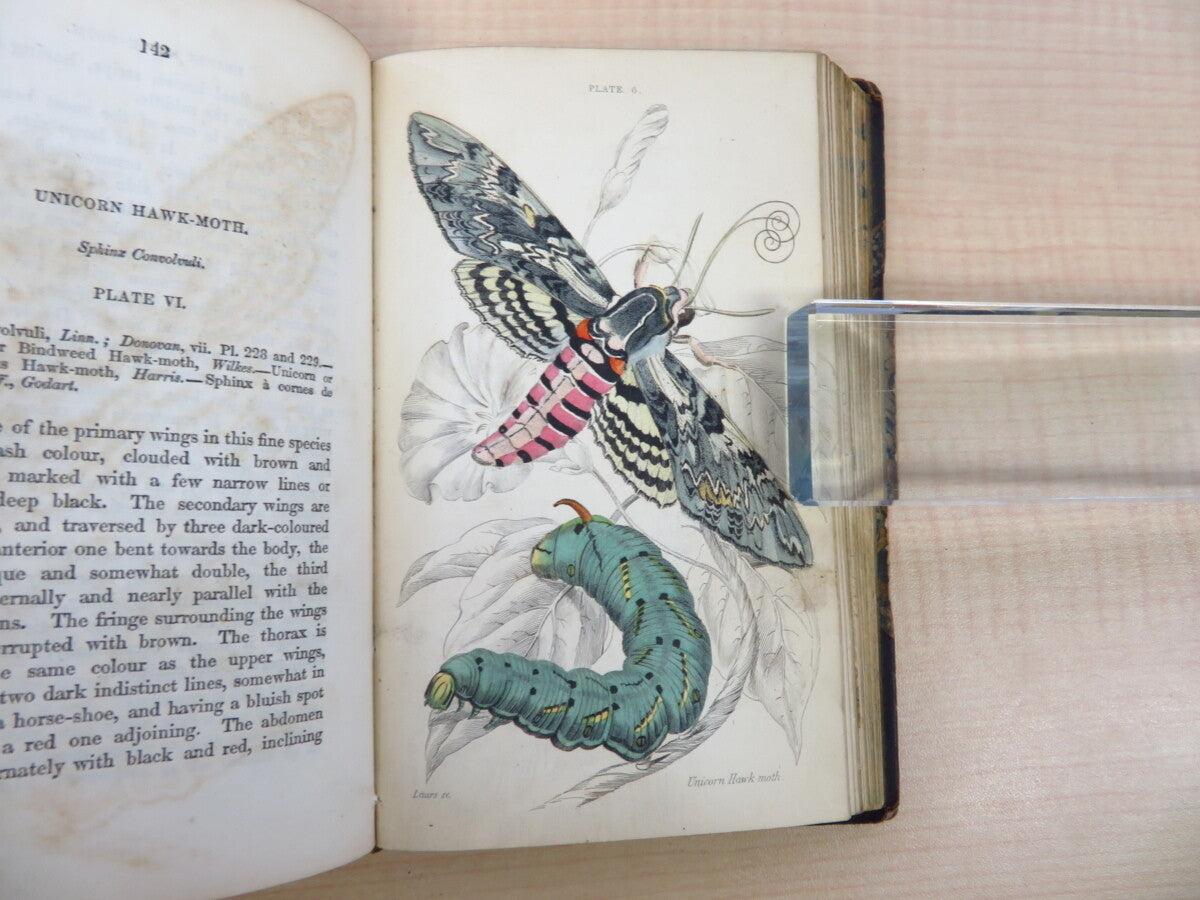 James Duncan?The Naturalist'S Library 4?1836 British Moth Book