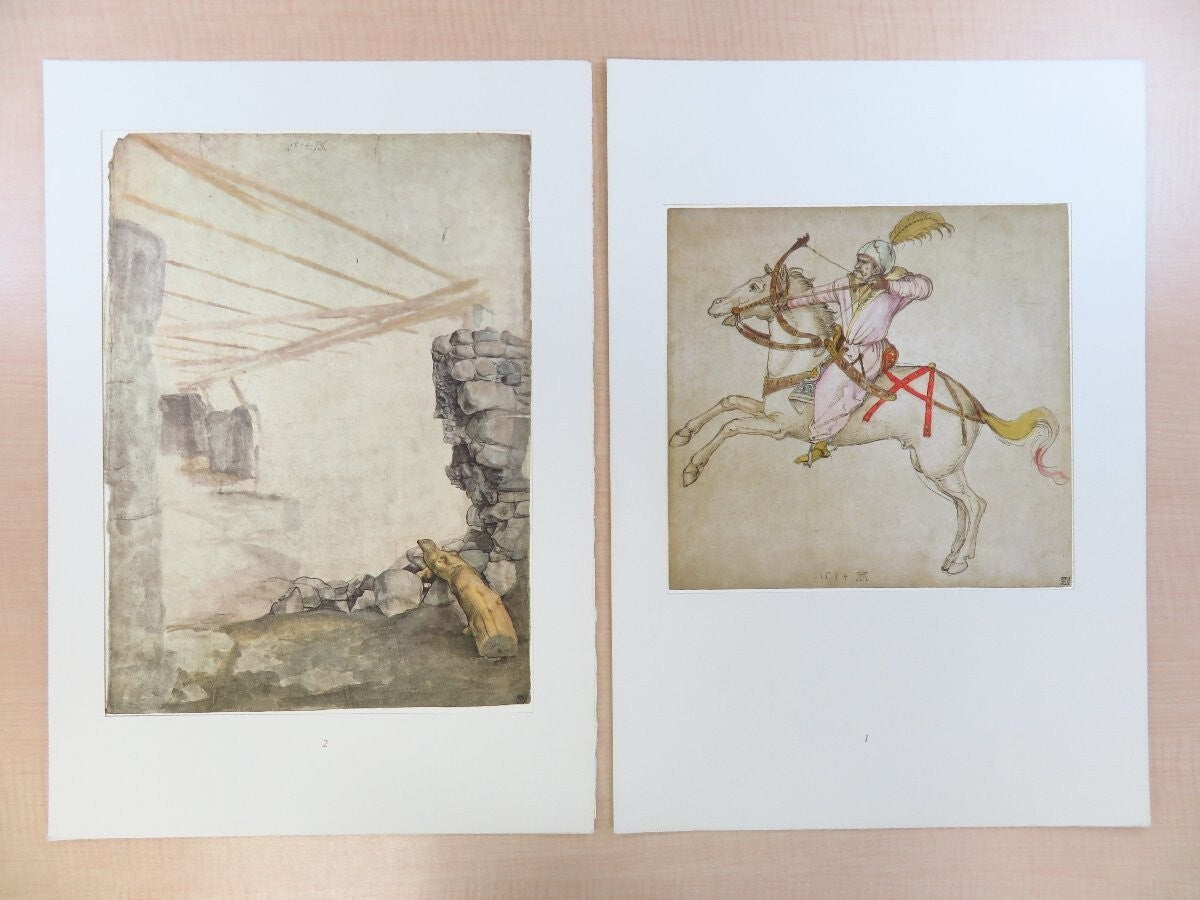 Dodici Acquarelli E Disegni Di Alberto Durer -