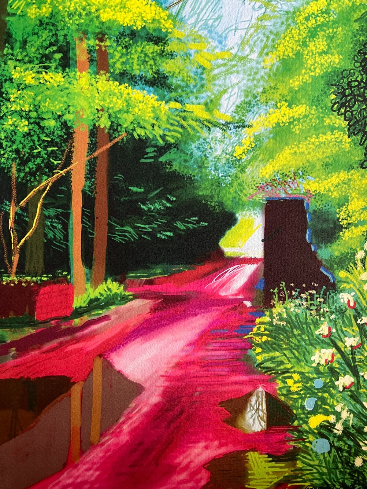 David Hockney Coa Lithograph Signed Op Hand