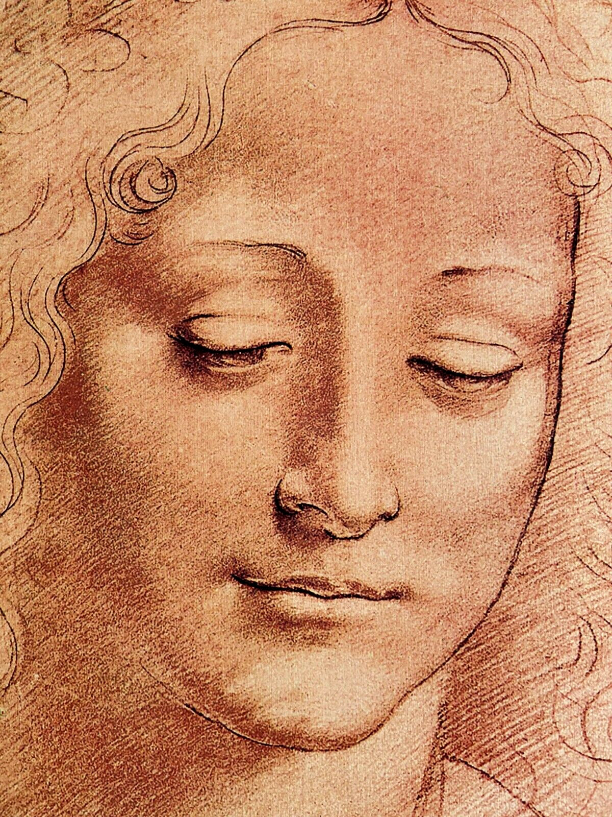 Leonardo Da Vinci Lithograph Coa Signed Numbered