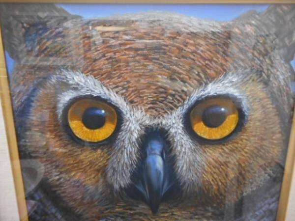 Charles Lynn Bragg - Owl Unique Original Acrylic