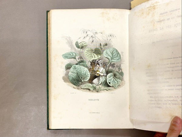 Les Fleurs Animees / J. J. Grandville Illustrated Book Two Volumes 1847