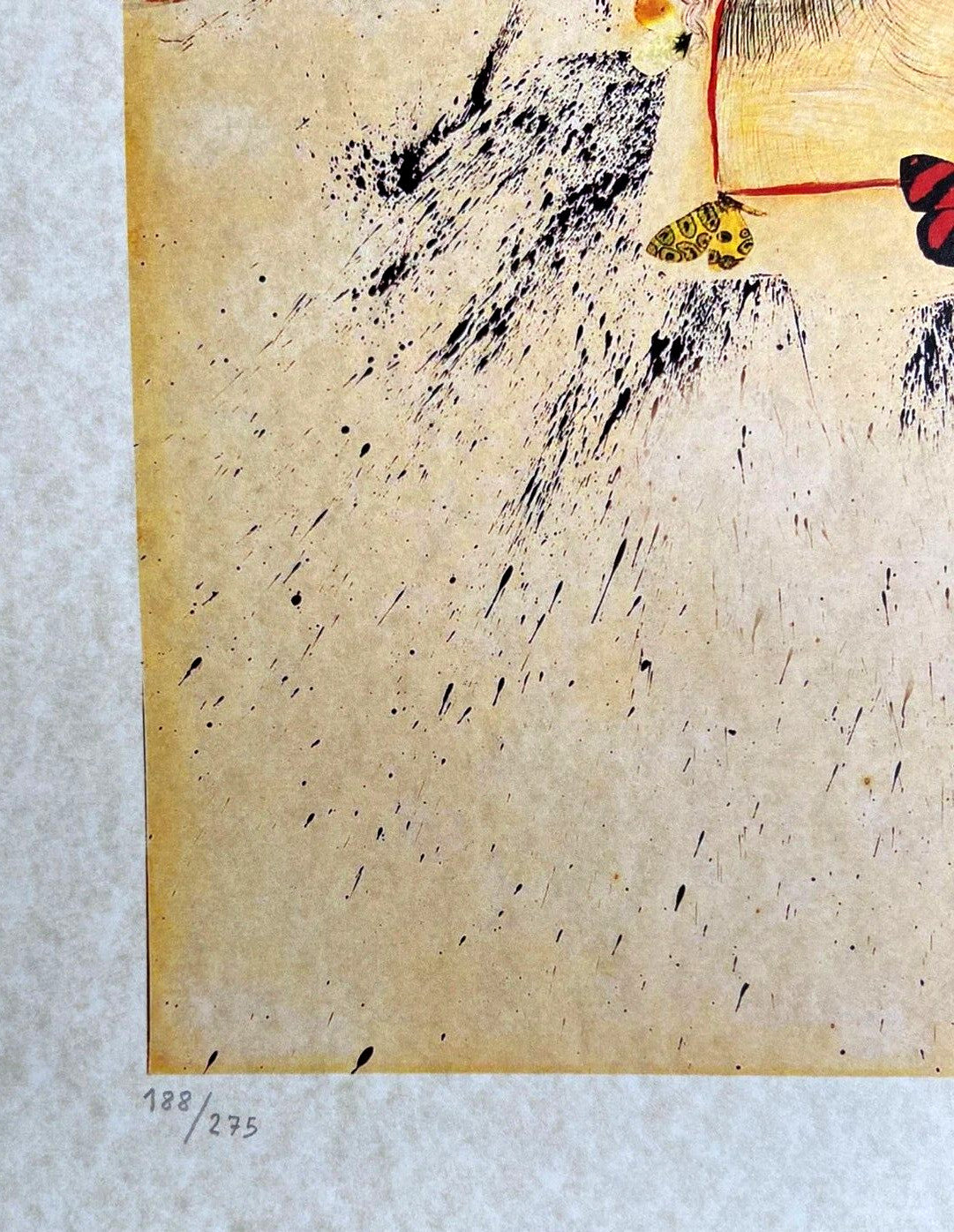 Salvador Dal Lithograph Coa Signed Numbered By