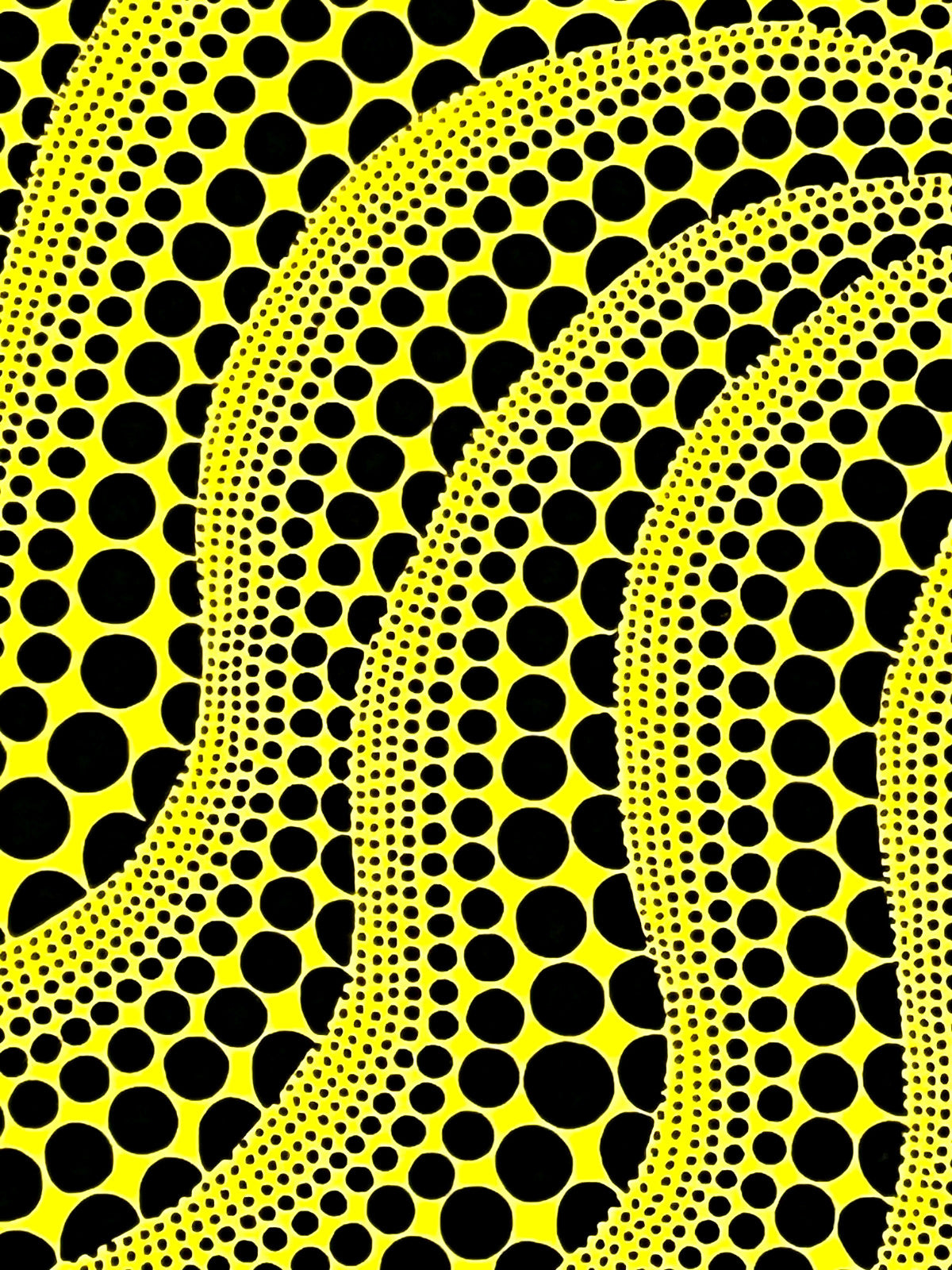 Yayoi Kusama Lithograph Mori Museum Coa Numbered Limited A 200