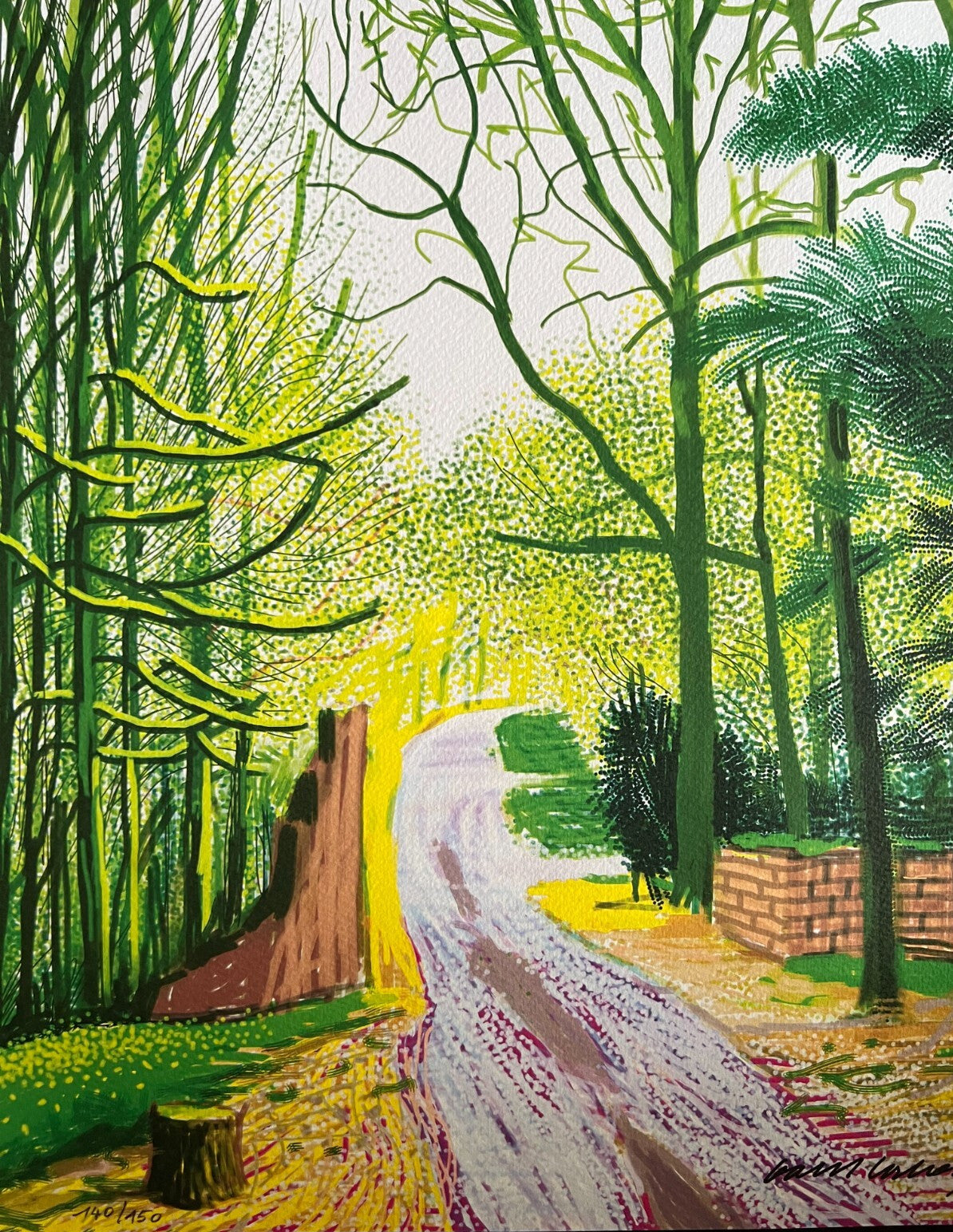 David Hockney Lithograph Coa Signed Op Numbered