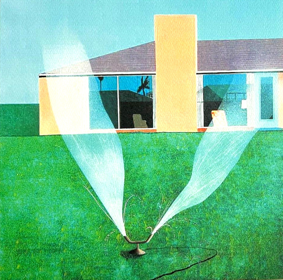 David Hockney Lithograph ( Signed Coa) Hand
