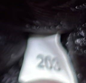 Prada Flap Zip Crossbody Bag Vitello Phenix Small