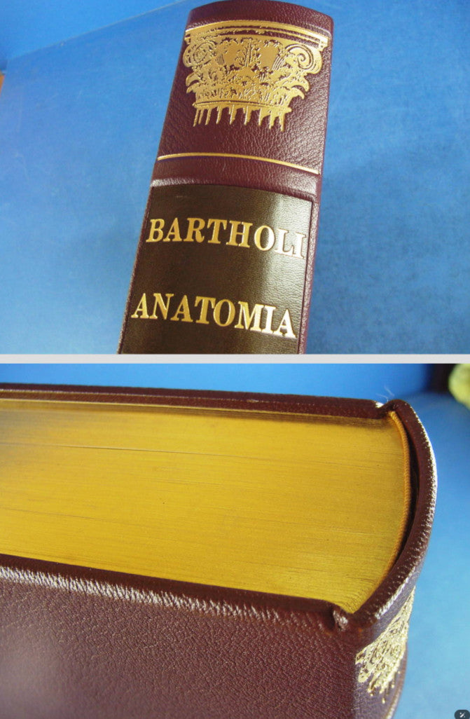 Rare 1976 Limited Edition Anatomia Reformata By Thomas Bartholin Facsimile