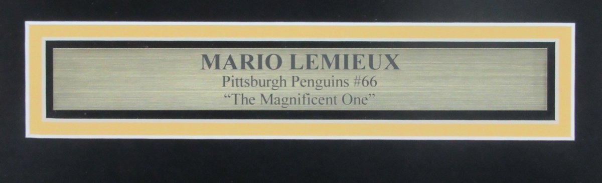 Mario Lemieux Hof Autographed 8X10 Photo Collage