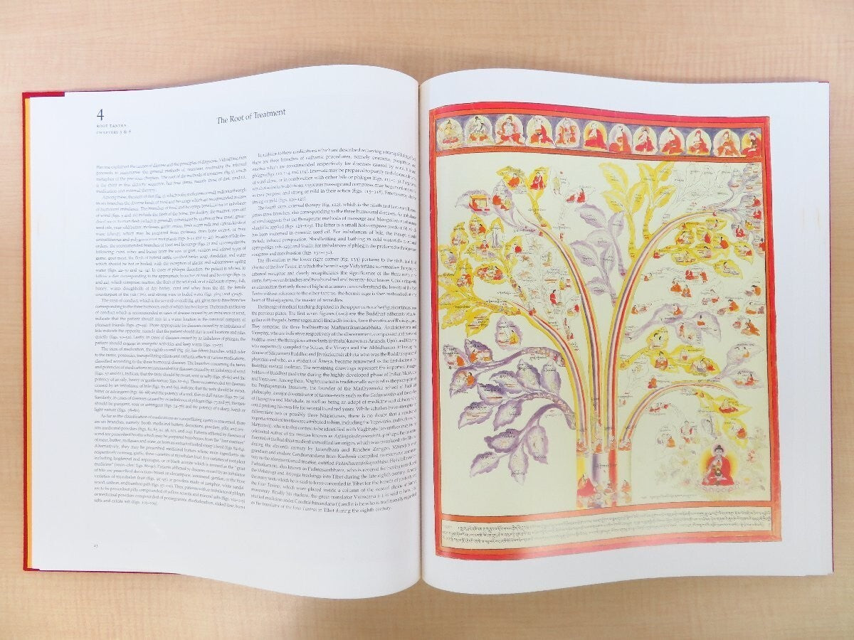 Tibetan Medical Paintings By Gyurme Dorje, 1992, 2 Volumes, Rare Complete Set