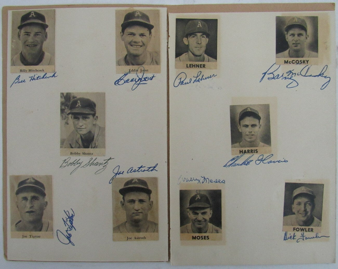 1951 Philadelphia A'S Athletics Scrapbook 21 Autographs Signed Photos 158194