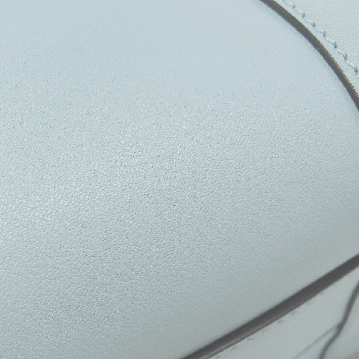 Loewe Handbag Amazona Leather