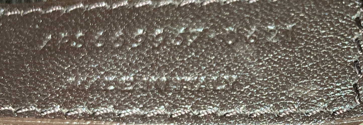 Saint Laurent Le Monogramme Camera Bag Monogram All Over Coated Canvas