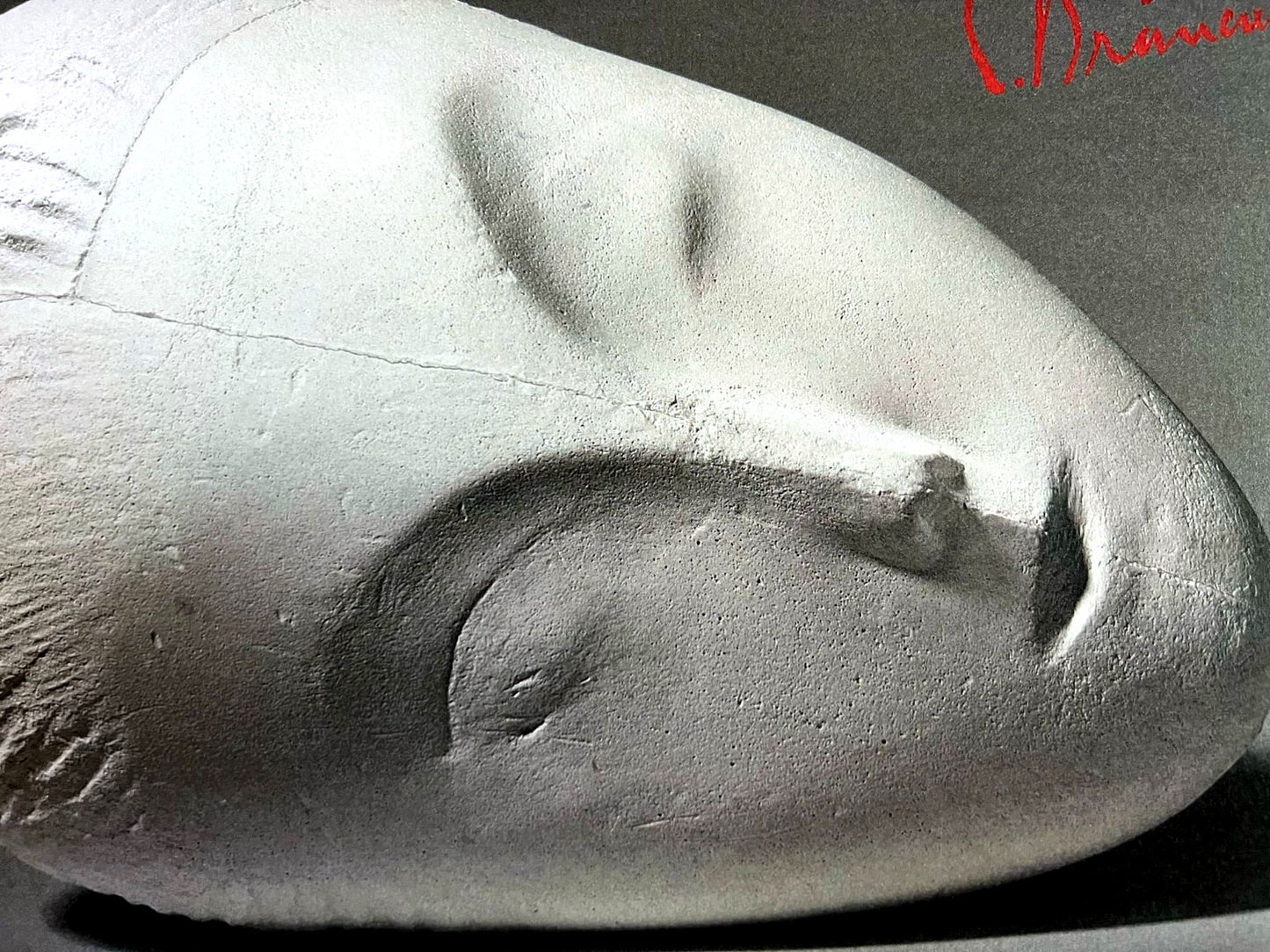 Constantin Brancusi Photograph ''Muse Endormie''