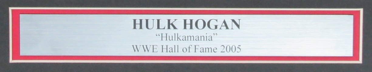 Hulk Hogan Hof Autographed 16X20 Photo Wwe Framed