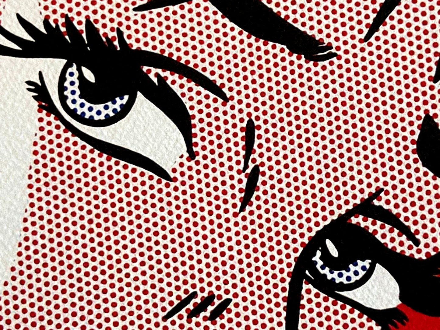 Roy Lichtenstein Lithograph Coa