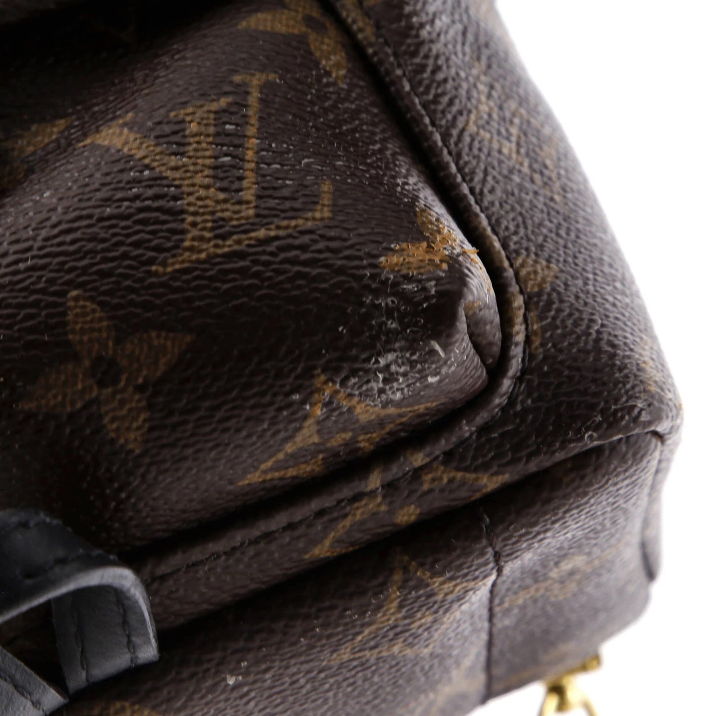 Louis Vuitton Palm Springs Backpack Monogram Canvas Mini