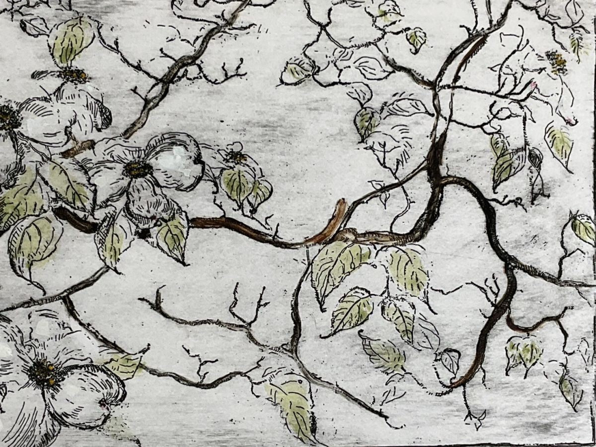 Joanne Isaac Original Etching "Dogwood Blossoms" 1980S Limited Edition Signed