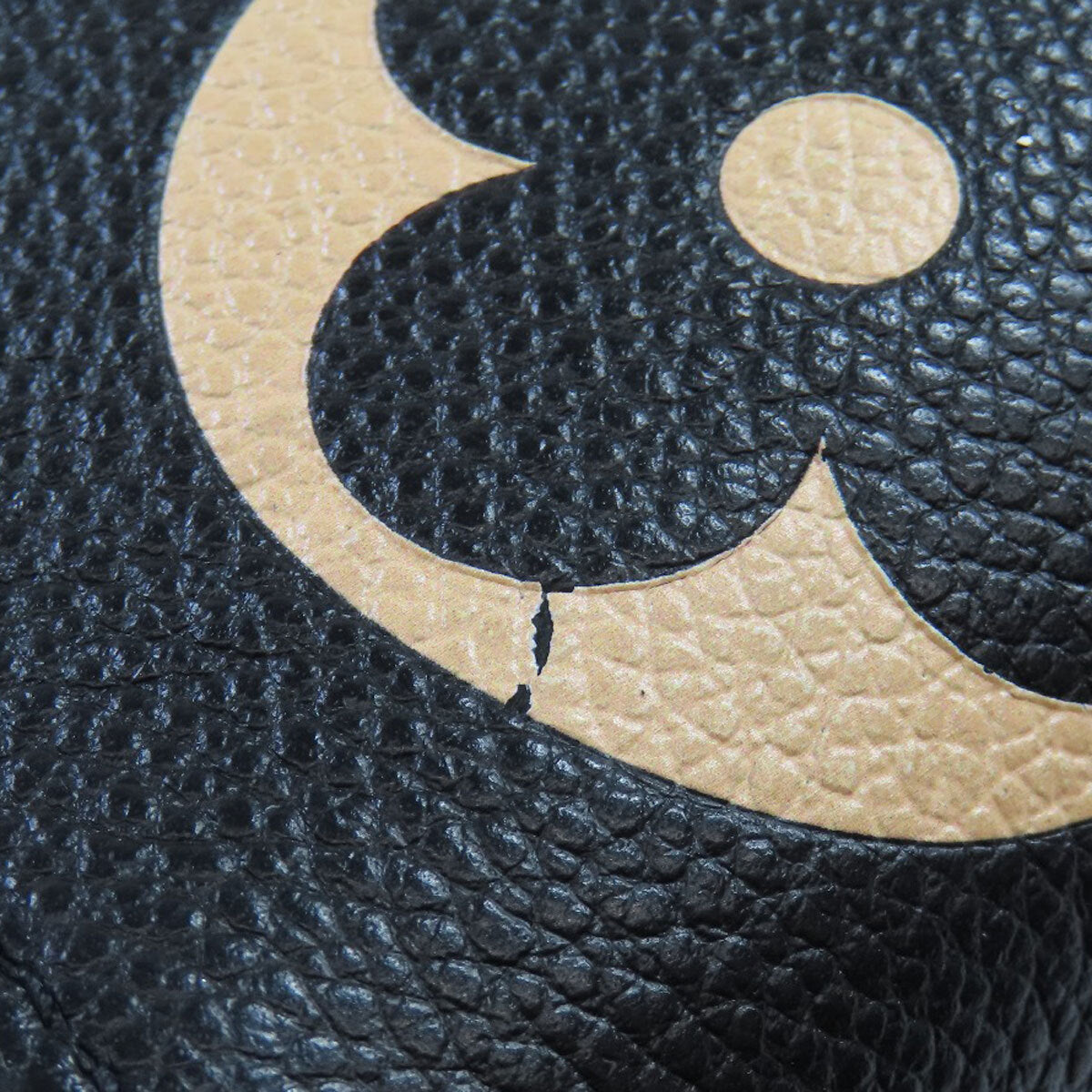 Louis Vuitton M45495 Tote Bag On The Go Mm