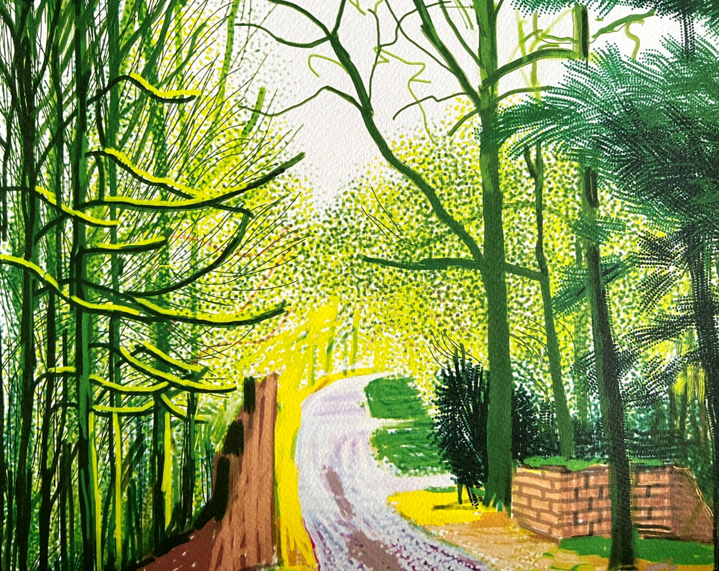 David Hockney Lithograph Coa Signed Op Numbered