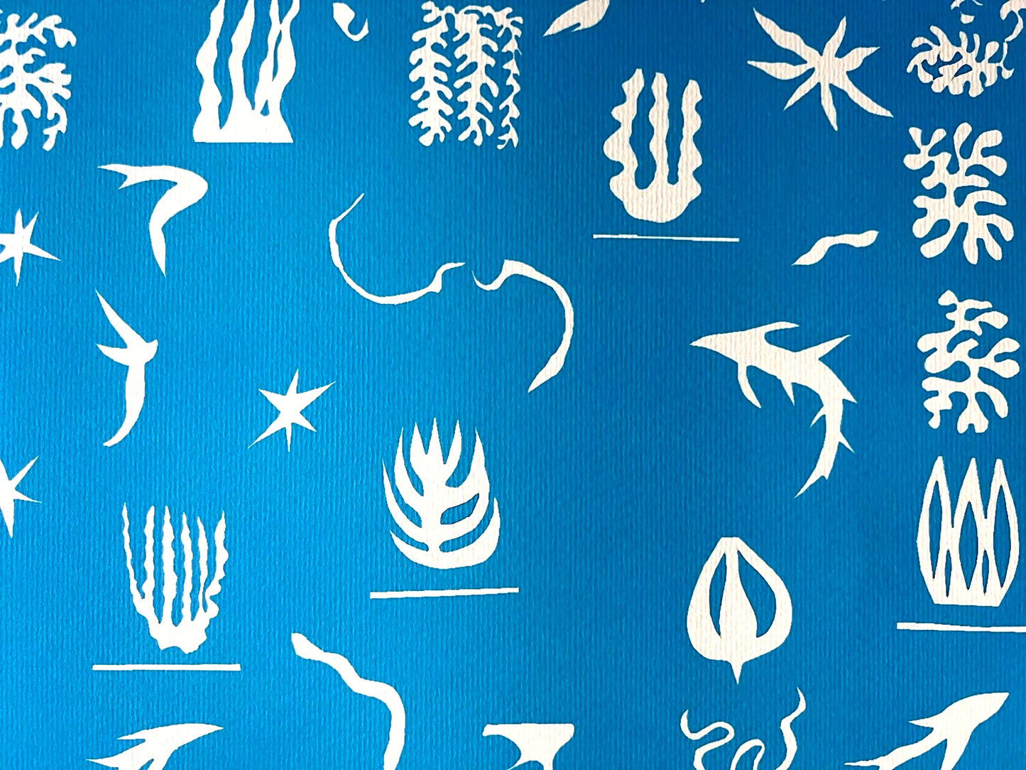 Henri Matisse 'Oceania The Sea' Lithograph Coa