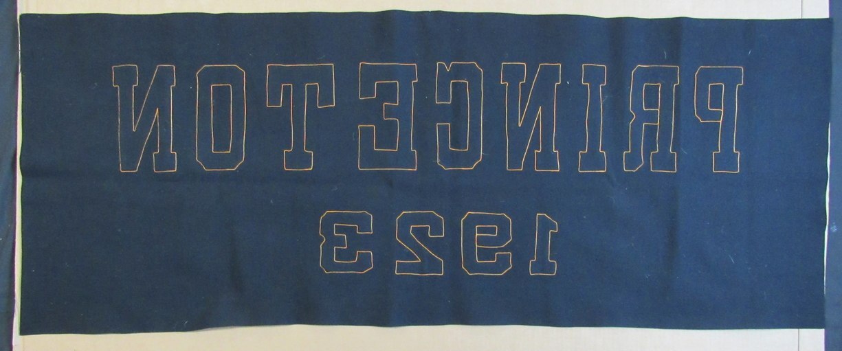 Vintage Princeton Ivy League Tigers 55X22 Black