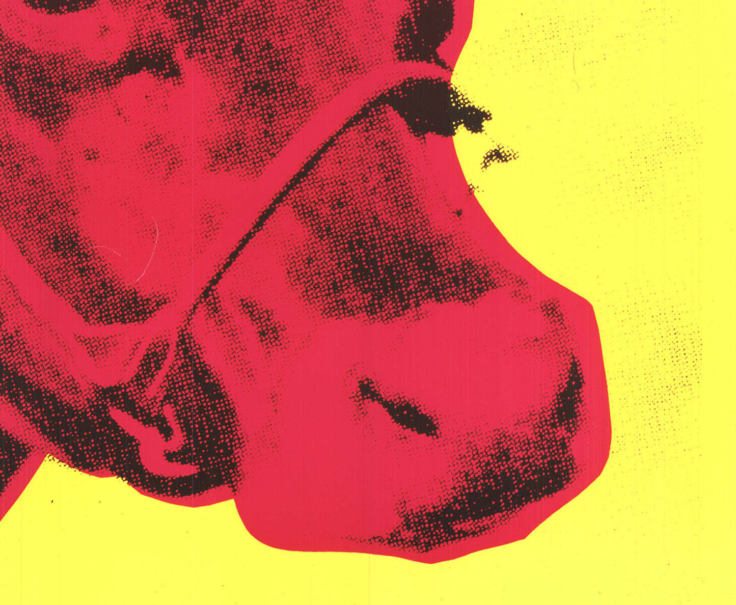 Andy Warhol Cow Pink On Yellow (Small) " Poster Pop Art