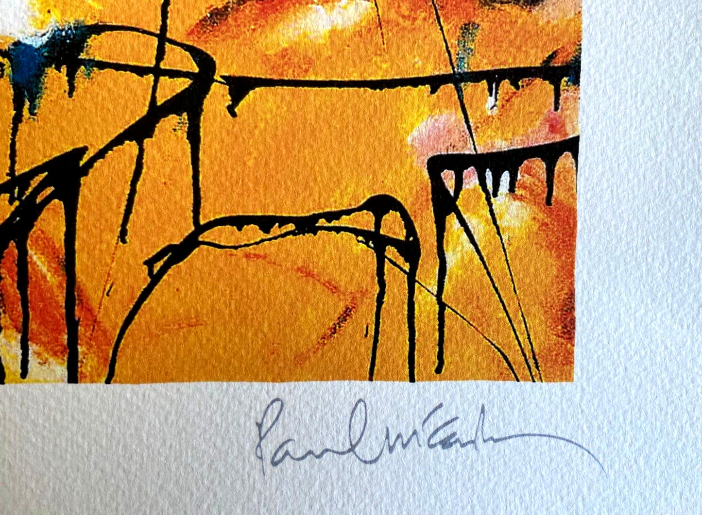 Paul Mccartney Lithograph Coa Signature And Stamp (Bob Dylan Yoko Ono)
