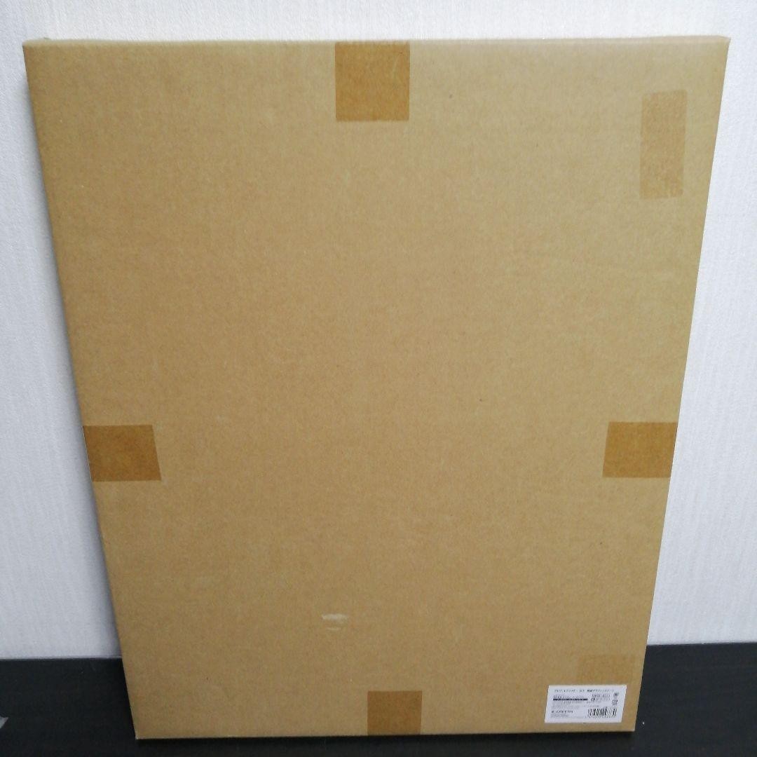 Street Fighter Ryu Graphic Art Limited Edition